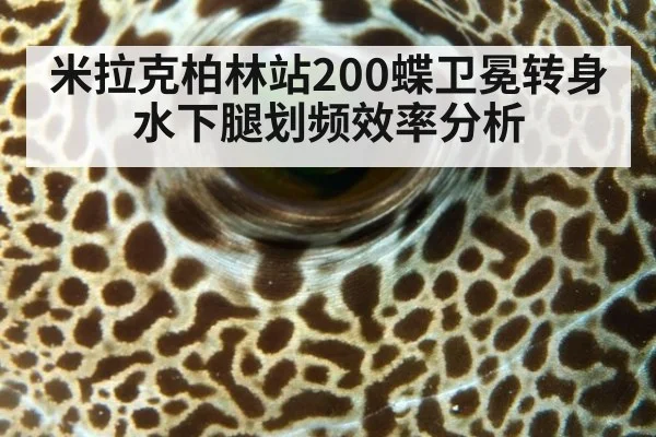 米拉克柏林站200蝶卫冕转身水下腿划频效率分析