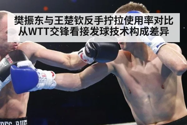 樊振东与王楚钦反手拧拉使用率对比 从WTT交锋看接发球技术构成差异